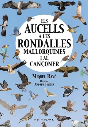 AUCELLS A LES RONDALLES MALLORQUINES I AL CANÇONER, ELS | 9788417113223 | RAYÓ I FERRER, MIQUEL