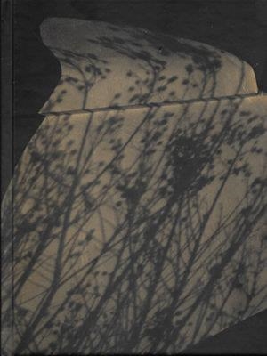 CIUDAD NOCTURNA | 9788486827984 | MARTÍN, CARLOS / MAQUEIRA, FERNANDO