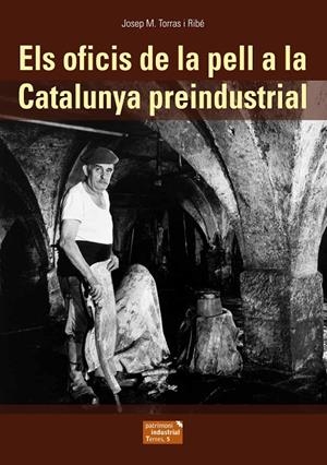 OFICIS DE LA PELL A LA CATALUNYA PREINDUSTRIAL, ELS | 9788423208388 | TORRAS I RIBÉ, JOSEP M.