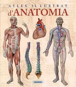 ATLES IL·LUSTRAT D'ANATOMIA | 9788467702101 | RIGUTTI, ADRIANA