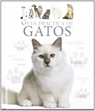 GUÍA PRÁCTICA DE GATOS | 9788415372066 | DAVIDSON, CATHERINE