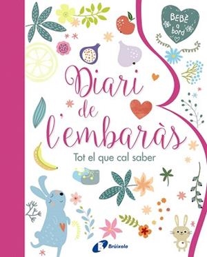 DIARI DE L'EMBARÀS. TOT EL QUE CAL SABER | 9788499067797