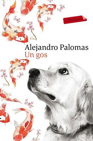 GOS, UN | 9788416600625 | PALOMAS, ALEJANDRO