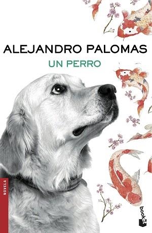 PERRO, UN | 9788423351862 | PALOMAS, ALEJANDRO