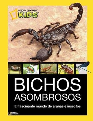 BICHOS ASOMBROSOS | 9788482986098 | VARIOS AUTORES