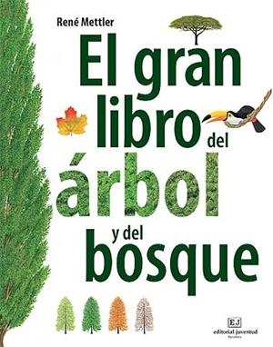 GRAN LIBRO DEL ÁRBOL Y DEL BOSQUE, EL | 9788426139399 | METTLER, RENÉ
