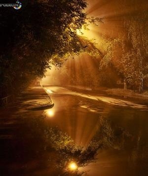 CUENTOS PARA NIÑOS QUE SUEÑAN CON CAMBIAR EL MUNDO | 9788417128531 | MARVEL, G. L.