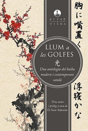 LLUM A LES GOLFES | 9788494906671 | ABRAMS, SAM
