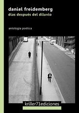 DÍAS DESPUÉS DEL DILUVIO | 9788494808913 | FREIDEMBERG, DANEL