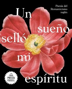 SUEÑO SELLÓ MI ESPÍRITU, UN | 9788439735328 | VARIOS AUTORES,
