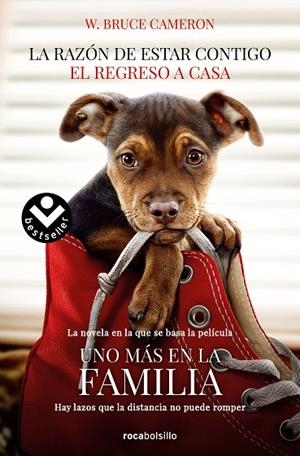 RAZÓN DE ESTAR CONTIGO, LA. EL REGRESO A CASA | 9788416859351 | CAMERON, W. BRUCE