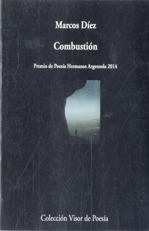 COMBUSTIÓN | 9788498958904 | DÍEZ, MARCOS