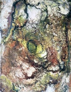 PROYECTO LÍQUIDO | 9788415832362