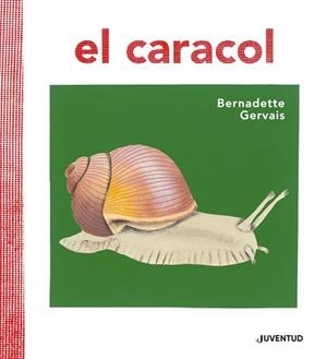 CARACOL, EL | 9788426145673 | GERVAIS, BERNADETTE / TORNERO BRUGUÉS, SUSANA