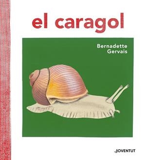 CARAGOL, EL | 9788426145680 | GERVAIS, BERNADETTE / TORNERO BRUGUÉS, SUSANA