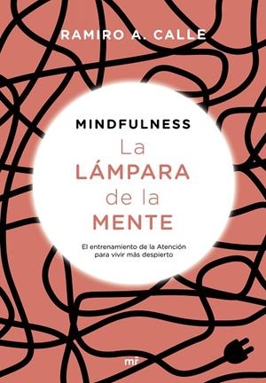MINDFULNESS. LA LÁMPARA
DE LA MENTE
EL ENTRENAMIENTO DE LA ATENCIÓN PARA VIVIR MÁS DESPIERTO | 9788427045347 | CALLE, RAMIRO
