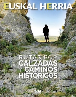 EUSKAL HERRIA. RUTAS POR CALZADAS Y CAMINOS HISTORICOS | 9788482166438 | YANIZ, SANTIAGO