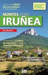 MONTES DESDE IRUÑEA | 9788482164816 | FELIU DORD, JUAN MARI