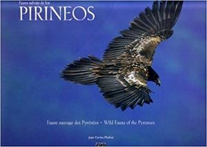 FAUNA SALVAJE DE LOS PIRINEOS | 9788482161815 | MUÑOZ ROBREDO, JUAN CARLOS