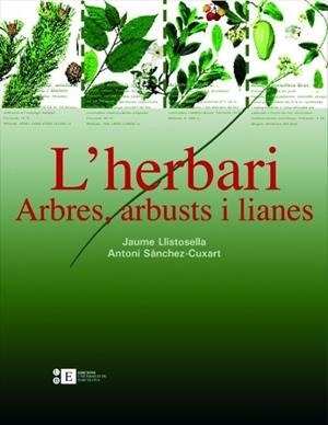 HERBARI, L' - ARBRES ARBUSTS I LIANES | 9788483384220 | LISTOSELLA, JAUME