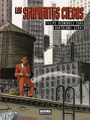 SERPIENTES CIEGAS, LAS | 9788467934076 | HERNANDEZ CAVA, FELIPE / SEGUÍ, BARTOLOMÉ