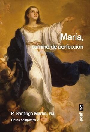 MARÍA CAMINO DE PERFECCIÓN | 9788441439146 | SANTIAGO MARTÍN, P.