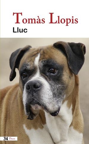 LLUC | 9788475029481 | LLOPIS I GUARDIOLA, TOMÀS