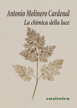 CHIMICA DELLA LUCE, LA | 9788416868780 | MOLINERO CARDENAL, ANTONIO