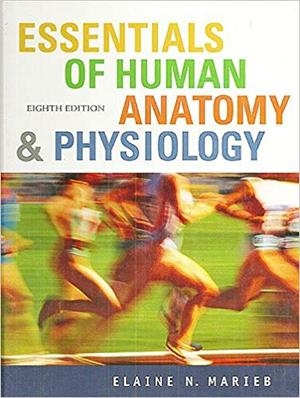 ESSENTIALS OF HUMAN ANATOMY AND PHYSIOLOGY | 9780131934818 | MARIEB, ELAINE