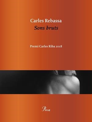 SONS BRUTS | 9788475887500 | REBASSA GIMENEZ, CARLES