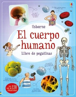 CUERPO HUMANO, EL | 9781474964159 | FRITH, ALEX