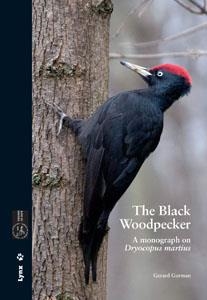 BLACK WOODPECKER, THE | 9788496553798 | GORMAN, GERARD