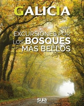 GALICIA : EXCURSIONES POR LOS BOSQUES MÁS BELLOS | 9788482166780 | RIAL, ANXO
