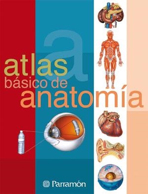 ATLAS BÁSICO DE ANATOMIA | 9788434223141 | CASSAN, ADOLFO / MUÑOZ TENLLADO, ANTONIO