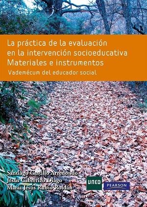 PRÁCTICA DE LA EVALUACIÓN EN LA INTERVENCIÓN SOCIOEDUCATIVA, LA | 9788483227459 | CASTILLO, SANTIAGO