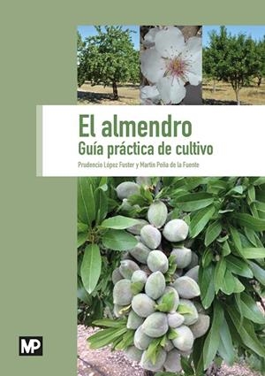 ALMENDRO : GUIA PRACTICA DE CULTIVO | 9788484767473 | LOPEZ FUSTER, PRUDENCIO / PEÑA, MARTIN