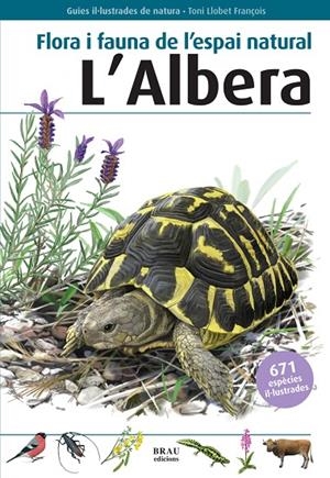 FLORA I FAUNA DE L'ESPAI NATURAL L'ALBERA | 9788496905559 | LLOBET, FRANÇOIS