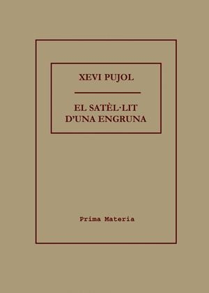SATEL·LIT D'UNA ENGRUNA, EL | 9788492563111 | PUJOL, XEVI
