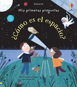 COMO ES EL ESPACIO | 9781474944908 | DAYNES, KATIE