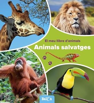 ANIMALS SALVATGES - EL MEU LLIBRE D'ANIMALS | 9789463074803