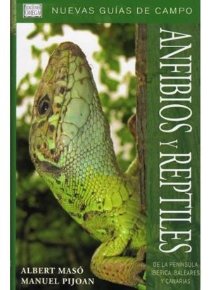 ANFIBIOS Y REPTILES DE LA PENÍNSULA IBERICA, BALEARES Y CANARIAS | 9788428213684 | MASO, A. Y PIJOAN, M./PIJOAN, M.