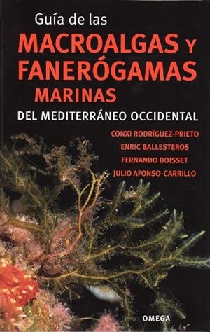 GUÍA DE LAS MACROALGAS Y FANERÓGAMAS MARINAS DEL MEDITERRÁNEO OCCIDENTAL | 9788428215923 | RODRÍGUEZ-PRIETO, CONXI / BALLESTEROS, ENRIC / BOISSET, FERNANDO / AFONSO-CARRILLO, JULIO