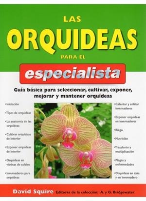 ORQUIDEAS PARA EL ESPECIALISTA, LAS | 9788428214193 | SQUIRE, D.