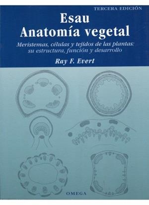 ESAU. ANATOMIA VEGETAL (3 ED) | 9788428214438 | EVERT, R. F.