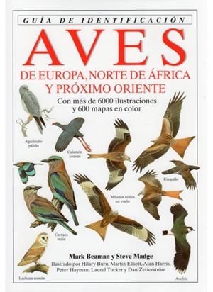 AVES DE EUROPA. GUIA DE IDENTIFICACION | 9788428209465 | BEAMAN, MARK / MADGE, STEVE