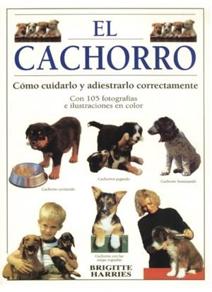 CACHORRO, EL | 9788428210997 | HARRIES, BRIGITTE