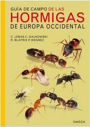 GUIA DE CAMPO DE LAS HORMIGAS DE EUROPA OCCIDENTAL | 9788428216630 | LEBAS / GALKOWSKY / BLATRIX / WEGNEZ
