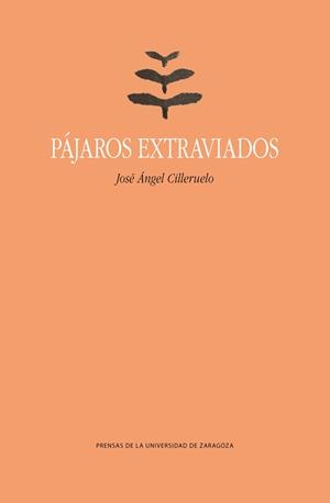 PÁJAROS EXTRAVIADOS | 9788417633882 | CILLERUELO, JOSÉ A.