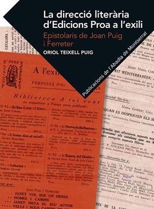 DIRECCIÓ LITERÀRIA D'EDICIONS PROA A L'EXILI, LA | 9788491910527 | TEIXELL PUIG, ORIOL