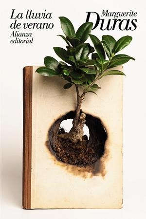 LLUVIA DE VERANO, LA | 9788491814962 | DURAS, MARGUERITE